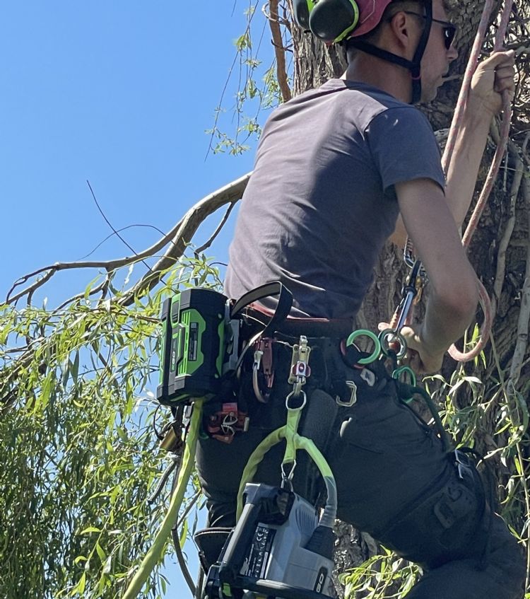 Boaz Hubers vertelt dat Ego meerdere ETW'ers bij de ontwikkeling van dit ontwerp heeft betrokken Boaz Hubers vertelt dat Ego meerdere ETW'ers bij de ontwikkeling van dit ontwerp heeft betrokken