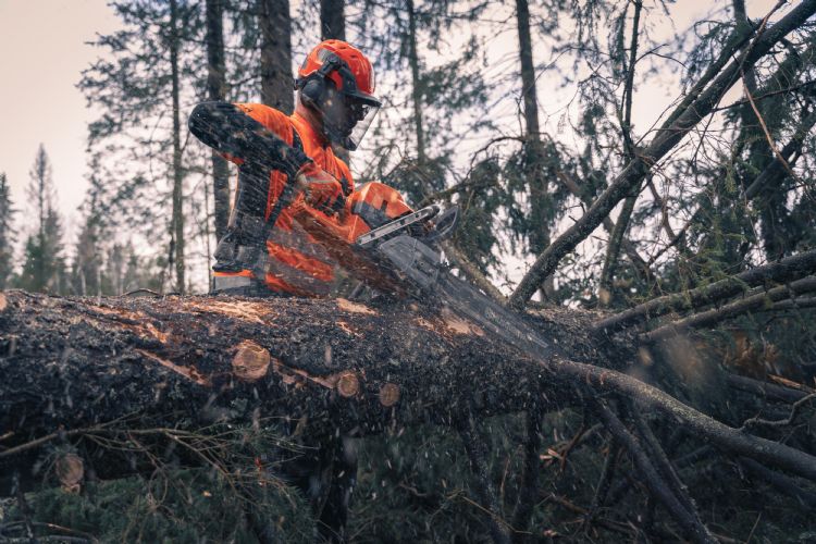 Zagen met de nieuwe machine Zagen met de nieuwe machine