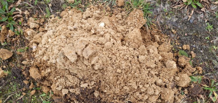 De grond kon worden opgewaardeerd en hoefde niet te worden afgevoerd De grond kon worden opgewaardeerd en hoefde niet te worden afgevoerd