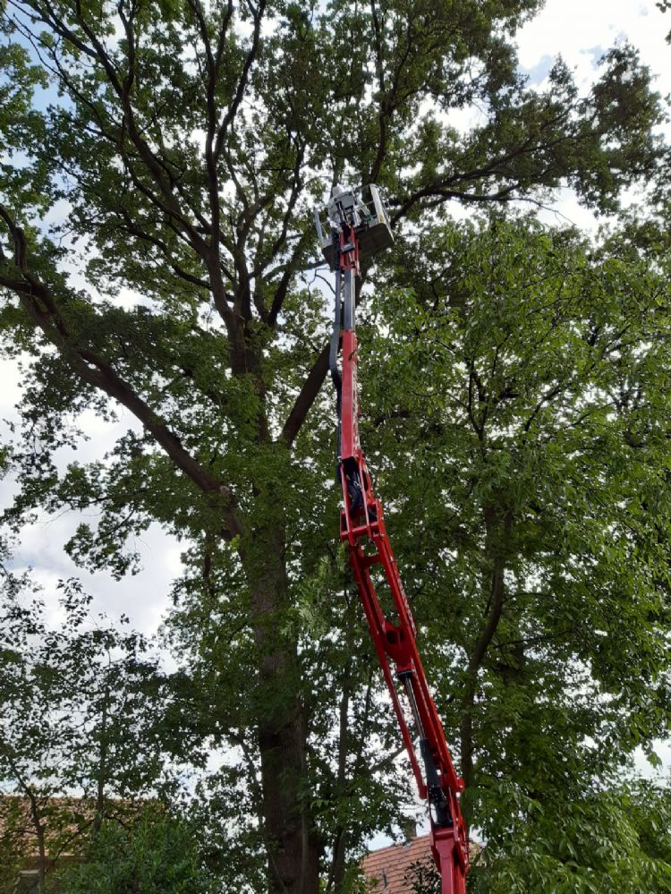 Dick van Huigenbosch aan het werk met Rufix vanuit de hoogwerker Dick van Huigenbosch aan het werk met Rufix vanuit de hoogwerker