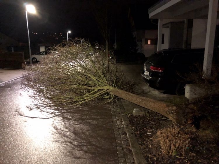 Göppingen, in maart 2020 omgevallen door matige wind Göppingen, in maart 2020 omgevallen door matige wind