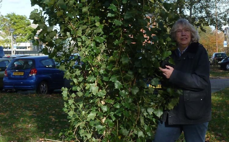 Maria van de Looverbosch; biologe en cultuurfilosofe Maria van de Looverbosch; biologe en cultuurfilosofe