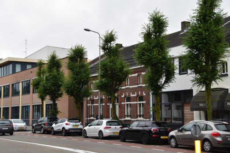 Gemeente Weert plant er gedurende vier jaar 365 bomen per jaar bij. Gemeente Weert plant er gedurende vier jaar 365 bomen per jaar bij.