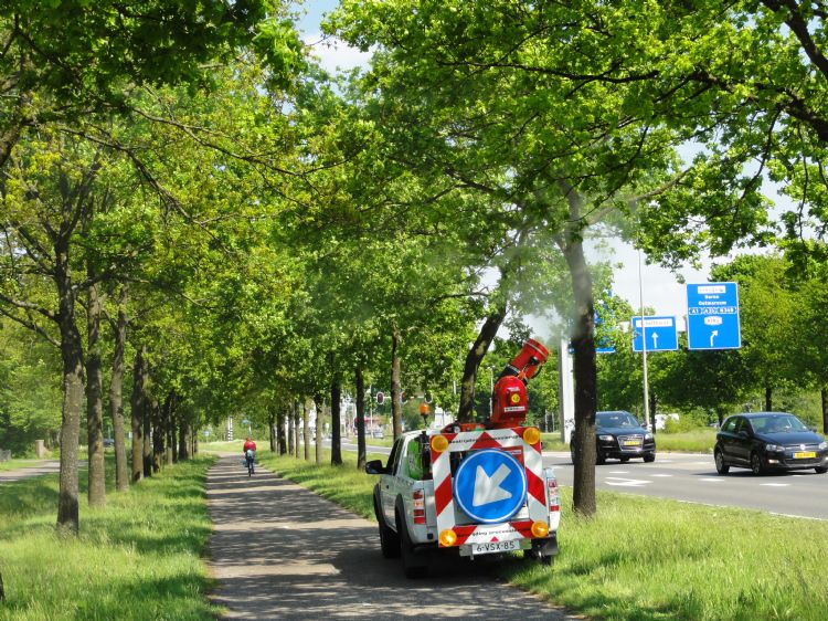 Grootgroener is een fervent gebruiker van Entonem, een nematodenmiddel Grootgroener is een fervent gebruiker van Entonem, een nematodenmiddel