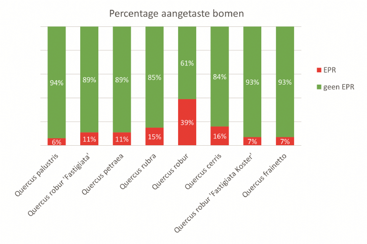 Figuur 1. De mate van aanwezigheid van de eikenprocessierups in de acht meest voorkomende soorten eik in Nederland in 2020 Figuur 1. De mate van aanwezigheid van de eikenprocessierups in de acht meest voorkomende soorten eik in Nederland in 2020