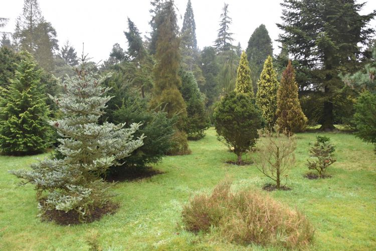 Geen museum, maar een oase van rust voor echte liefhebbers Geen museum, maar een oase van rust voor echte liefhebbers
