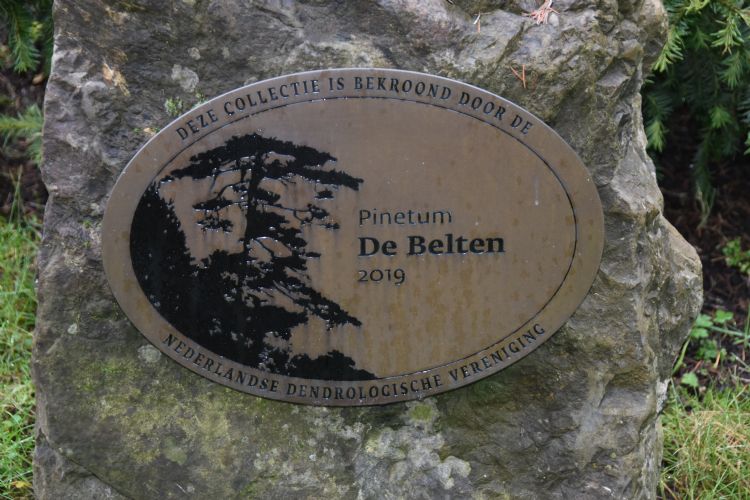 Recent bekroond door de Nederlandse Dendrologische Vereniging Recent bekroond door de Nederlandse Dendrologische Vereniging