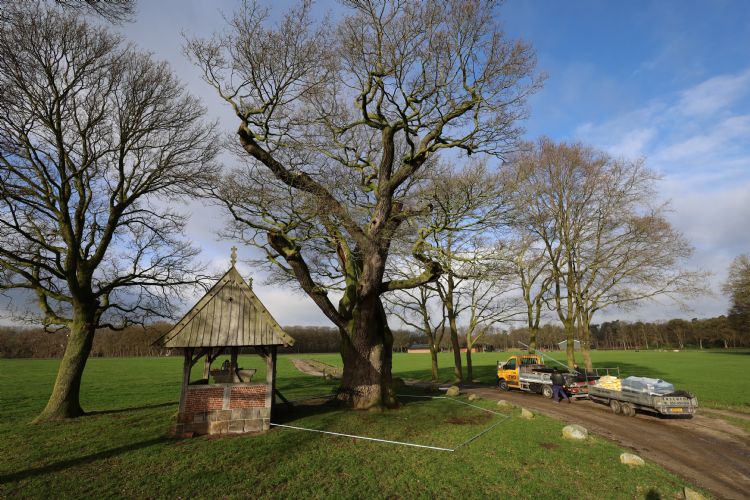 Aanleg hekwerk rond de Kroezeboom Aanleg hekwerk rond de Kroezeboom