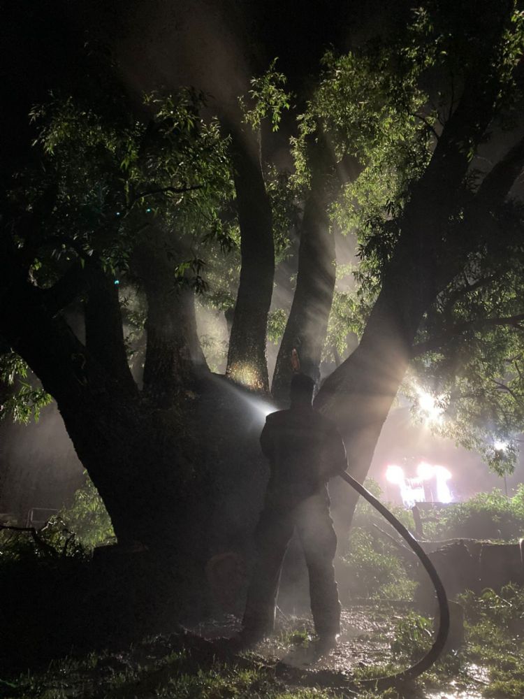 Nachtelijk bluswerk in Kardinge bij de iconische wilg. Foto: Natuurmonumenten Nachtelijk bluswerk in Kardinge bij de iconische wilg. Foto: Natuurmonumenten