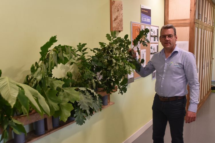 Flier test elke week de boomkennis van zijn medewerkers Flier test elke week de boomkennis van zijn medewerkers