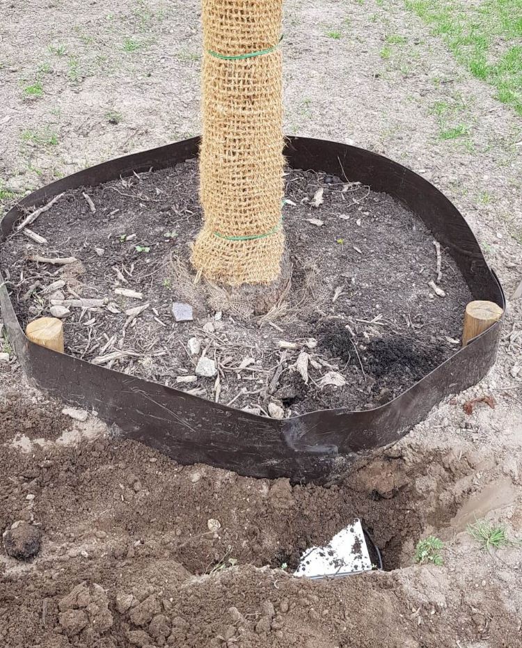 Eindhoven, Jacob Frankaertweg Eindhoven, Jacob Frankaertweg