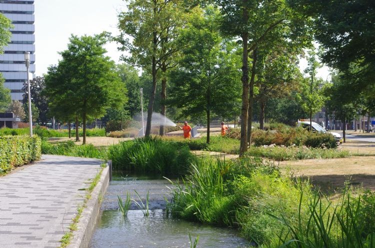 Beregenen als de sensor dit aangeeft Beregenen als de sensor dit aangeeft