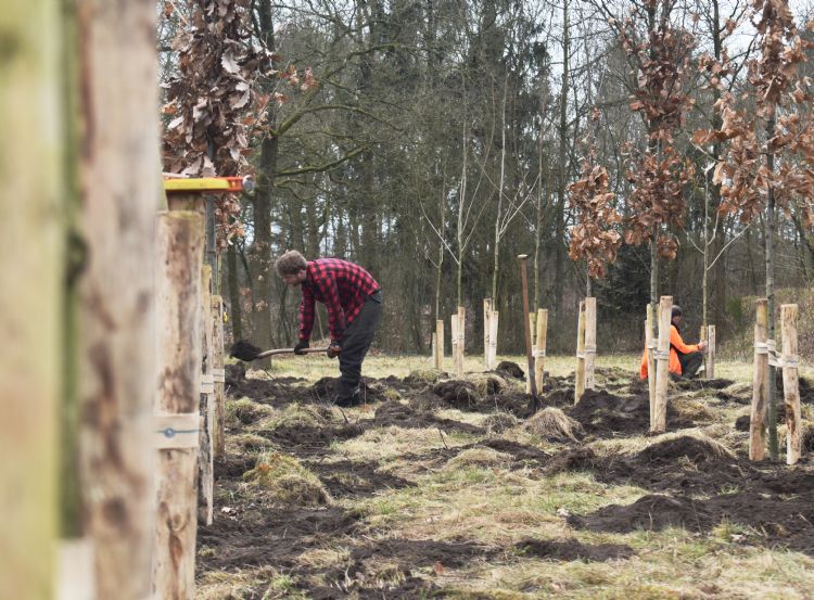 Het inrichten van de praktijkproeflocatie in het voorjaar van 2019 Het inrichten van de praktijkproeflocatie in het voorjaar van 2019