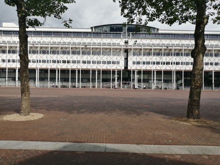 'Het enige wat je nog van de boombunkers ziet, zijn de gezonde bomen' 'Het enige wat je nog van de boombunkers ziet, zijn de gezonde bomen'