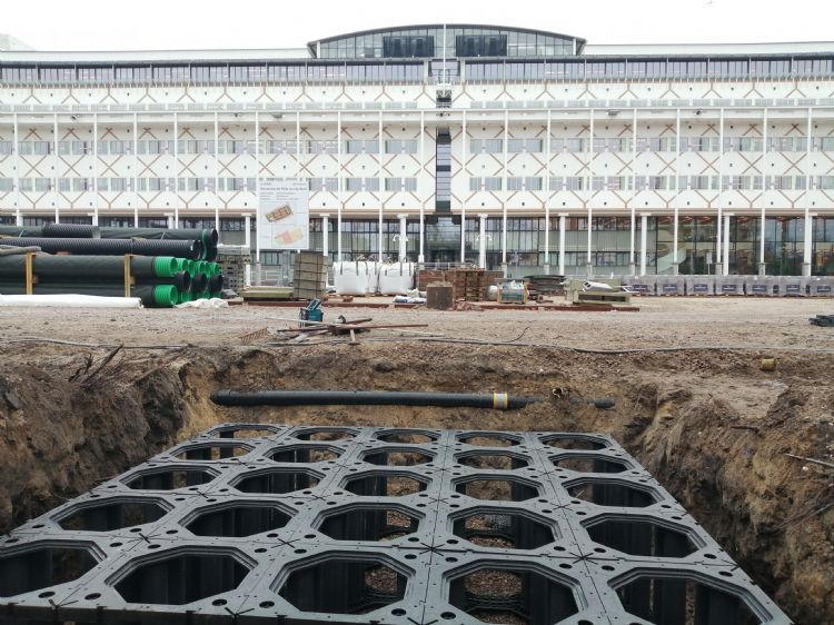 TreeParkers liggen verzonken in de grond van het Apeldoornse plein TreeParkers liggen verzonken in de grond van het Apeldoornse plein