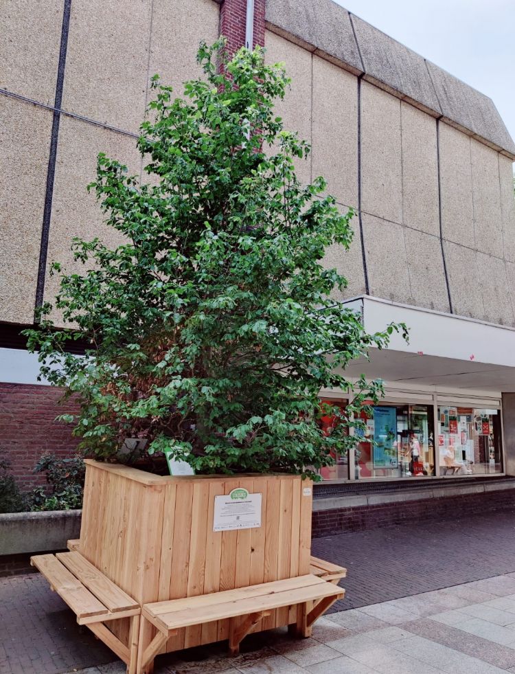 De bomen staan in houten boombakken met bankjes eromheen De bomen staan in houten boombakken met bankjes eromheen