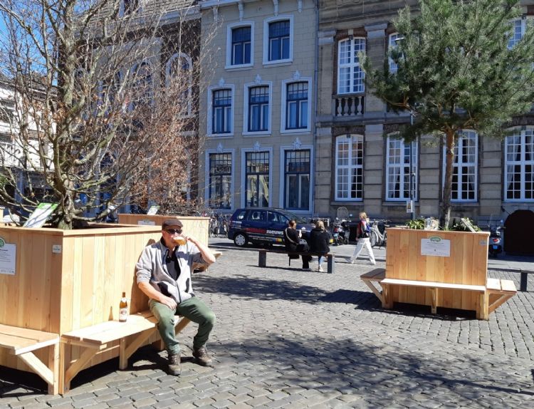 De bomen sieren horeca- en winkelpanden en bieden schaduw op de Markt De bomen sieren horeca- en winkelpanden en bieden schaduw op de Markt