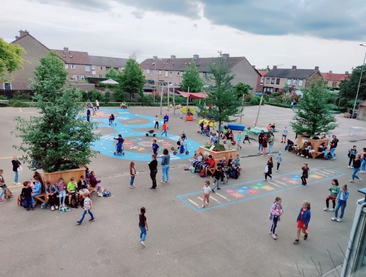 Een basisschool heeft drie bomen geadopteerd, omdat er op het schoolplein geen enkele boom stond die schaduw bood Een basisschool heeft drie bomen geadopteerd, omdat er op het schoolplein geen enkele boom stond die schaduw bood