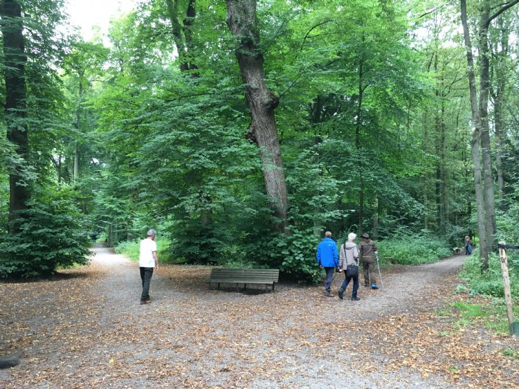 Het park is ook belangrijk voor recreatie Het park is ook belangrijk voor recreatie