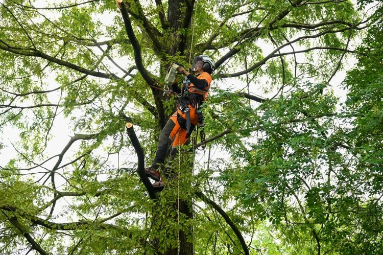ETW'er Joris is boom- en klimexpert ETW'er Joris is boom- en klimexpert