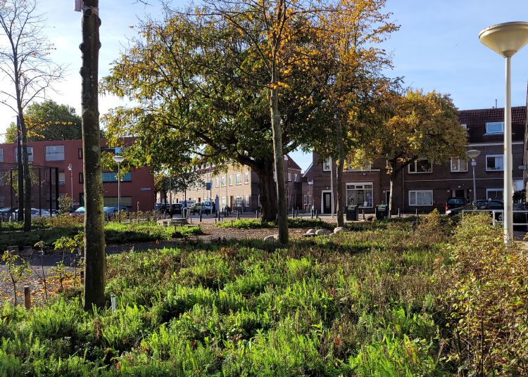 Oltmansplein impressie 2 Oltmansplein impressie 2