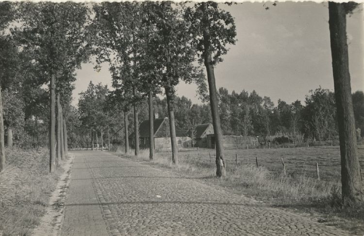 Udenhout, Schoorstraat circa 1930 - Fotograaf onbekend, Collectie Regionaal Archief Tilburg Udenhout, Schoorstraat circa 1930 - Fotograaf onbekend, Collectie Regionaal Archief Tilburg