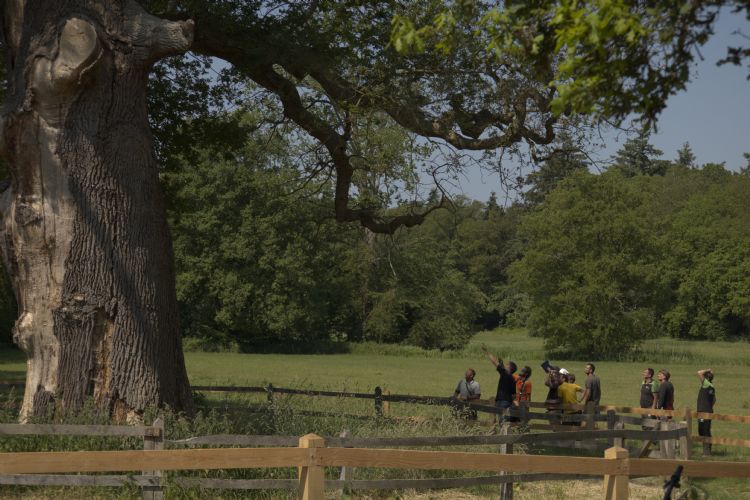 Druk overleg over wat het beste is voor de eik Druk overleg over wat het beste is voor de eik