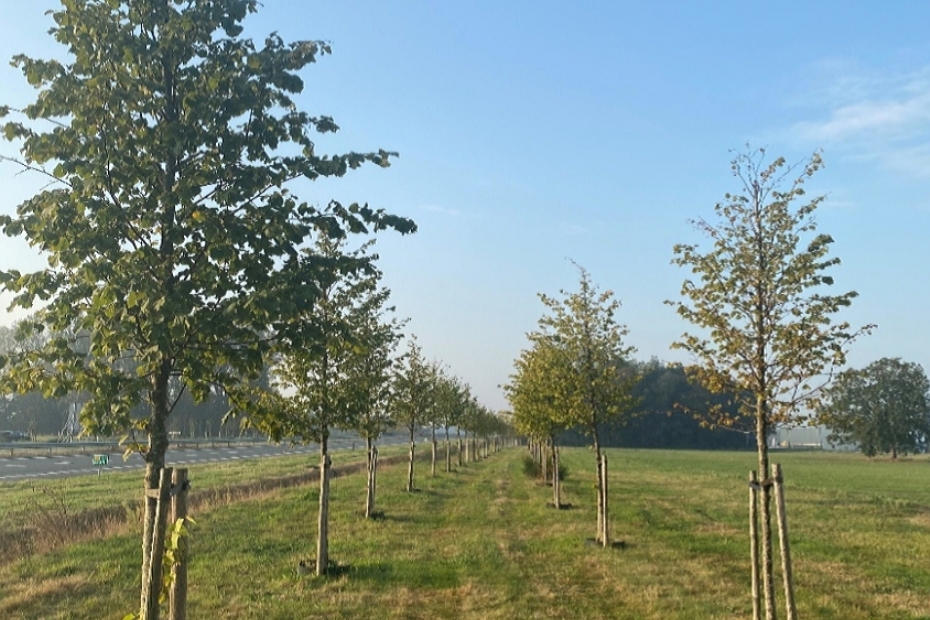 Demo N18 detail Demo N18 detail