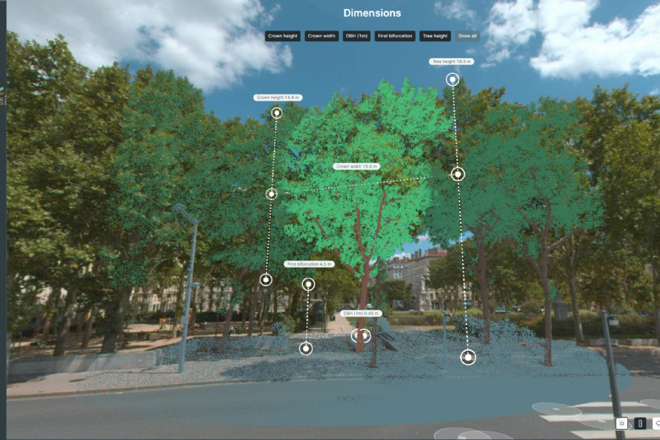 Digital twin van de Streetview-metingen Digital twin van de Streetview-metingen