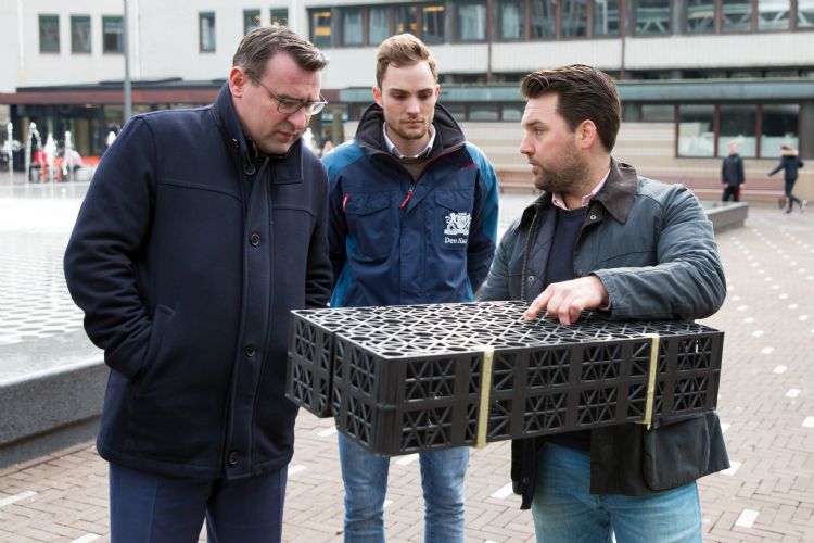 Bomen Anna van Buerenplein beeld Jurriaan Brobbel Bomen Anna van Buerenplein beeld Jurriaan Brobbel