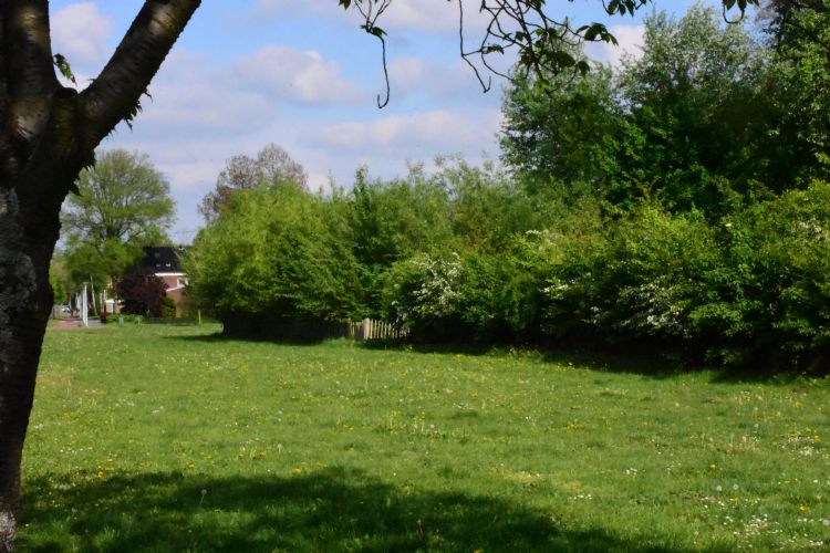 De twee bosjes ter grootte van een tennisbaan liggen aan een weg die het Darwinpark doorsnijdt. De twee bosjes ter grootte van een tennisbaan liggen aan een weg die het Darwinpark doorsnijdt.