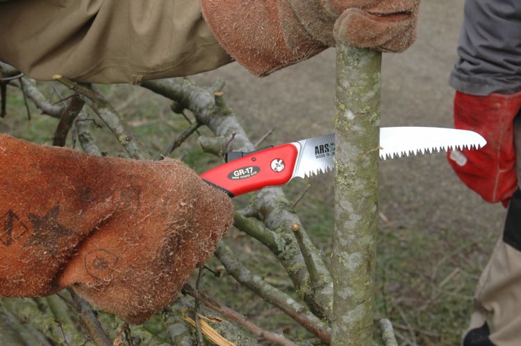 Commentaar bij het inzagen van een 'staander' met de Ars GR 17: 'Het voelt wat wiebelig, maar dat kan ook aan het natte hout liggen.' Commentaar bij het inzagen van een 'staander' met de Ars GR 17: 'Het voelt wat wiebelig, maar dat kan ook aan het natte hout liggen.'