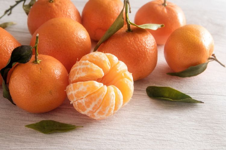 Vruchten van Citrus reticulata (mandarijn)