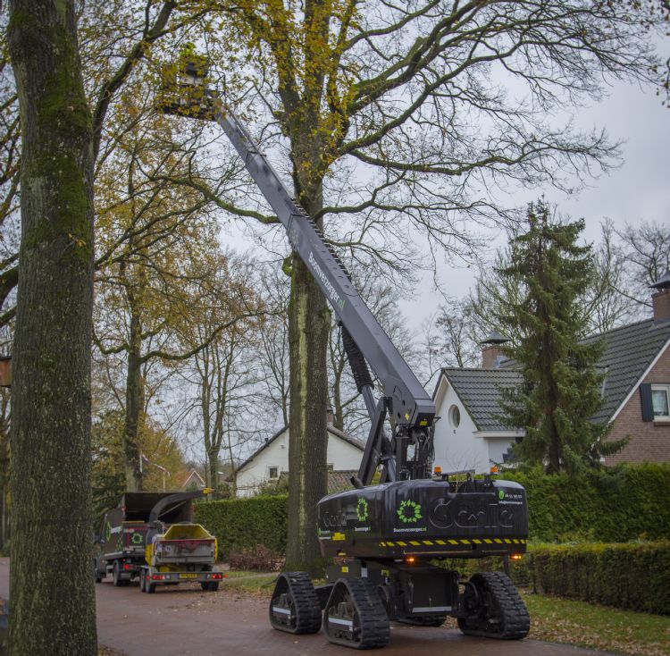 Johannes Rijs liet zijn Genie in zijn huisstijl spuiten. Johannes Rijs liet zijn Genie in zijn huisstijl spuiten.