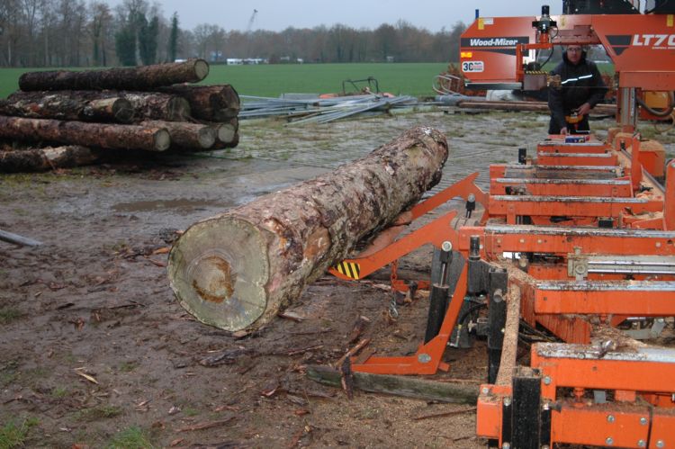 De hydraulische beladingsarm legt de stam op het zaagbed. De hydraulische beladingsarm legt de stam op het zaagbed.