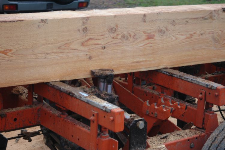 Verschillende hydraulische stamhouders brengen, houden of kantelen de stam in de juiste positie. Verschillende hydraulische stamhouders brengen, houden of kantelen de stam in de juiste positie.