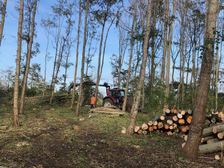 Om de andere dag werd bekeken wat bleef en wat werd gerooid Om de andere dag werd bekeken wat bleef en wat werd gerooid