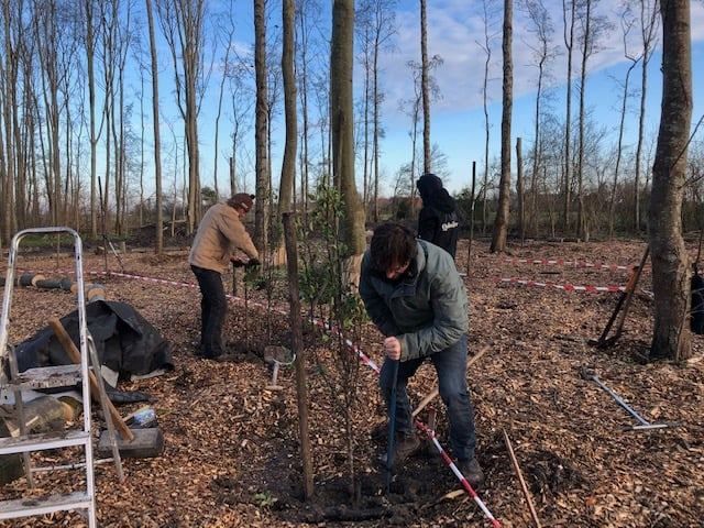 De eerste fruitbomen gaan de grond in De eerste fruitbomen gaan de grond in