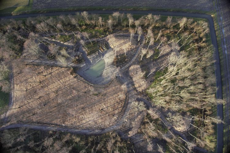 Dronefoto van het bos Dronefoto van het bos
