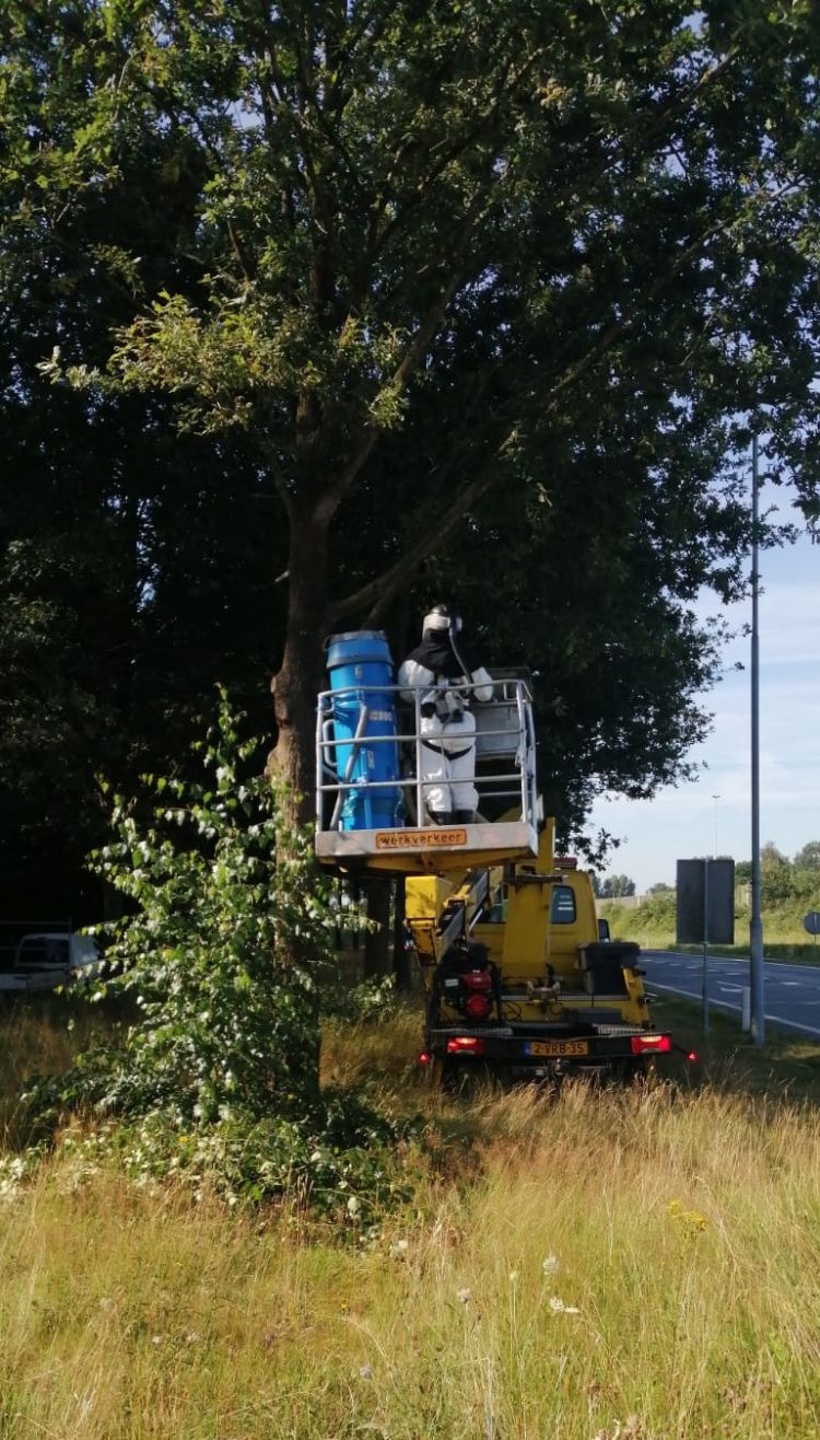 Curatieve bestrijding Curatieve bestrijding