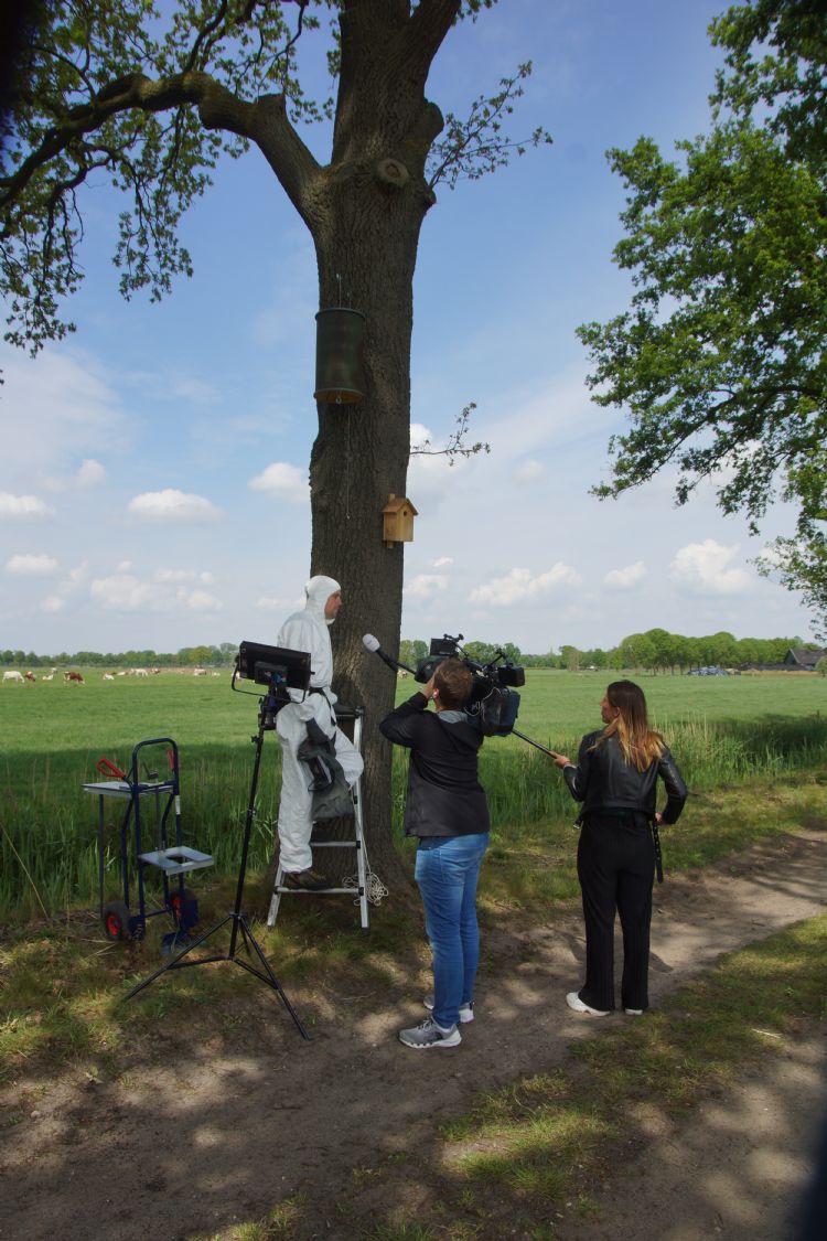 Foto: Storix Foto: Storix