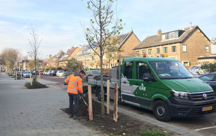 GKB plaatst de eerste boompalen aan de Burgemeester Le Fevre de Montignylaan