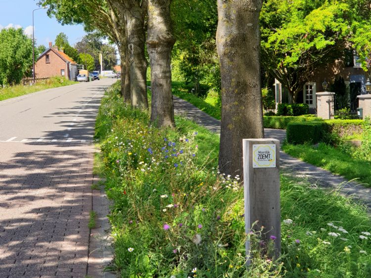 Moerdijk zoemt Moerdijk zoemt
