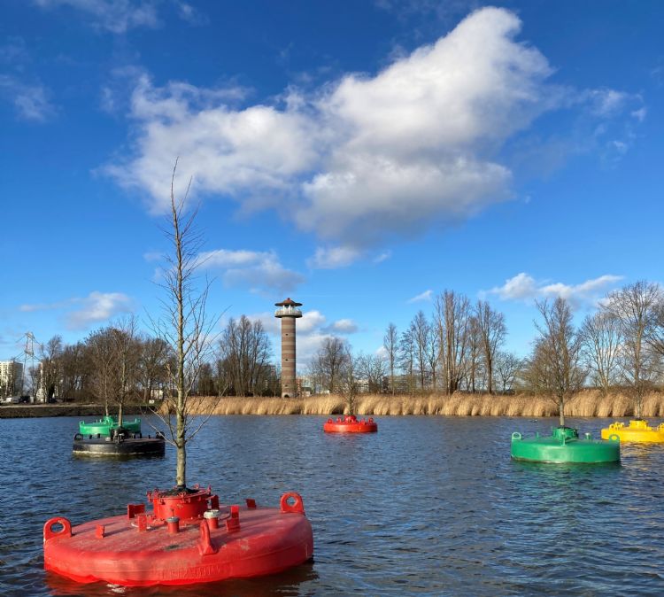 Dobberend Bos in Weerwater