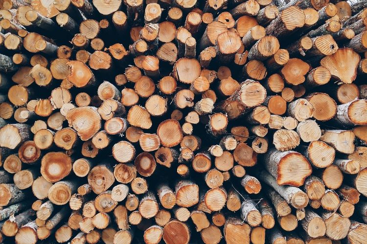 Bosaannemers en bosbeheerders gaan de labels bevestigen op de stapels boomstammen die in de bossen liggen. 