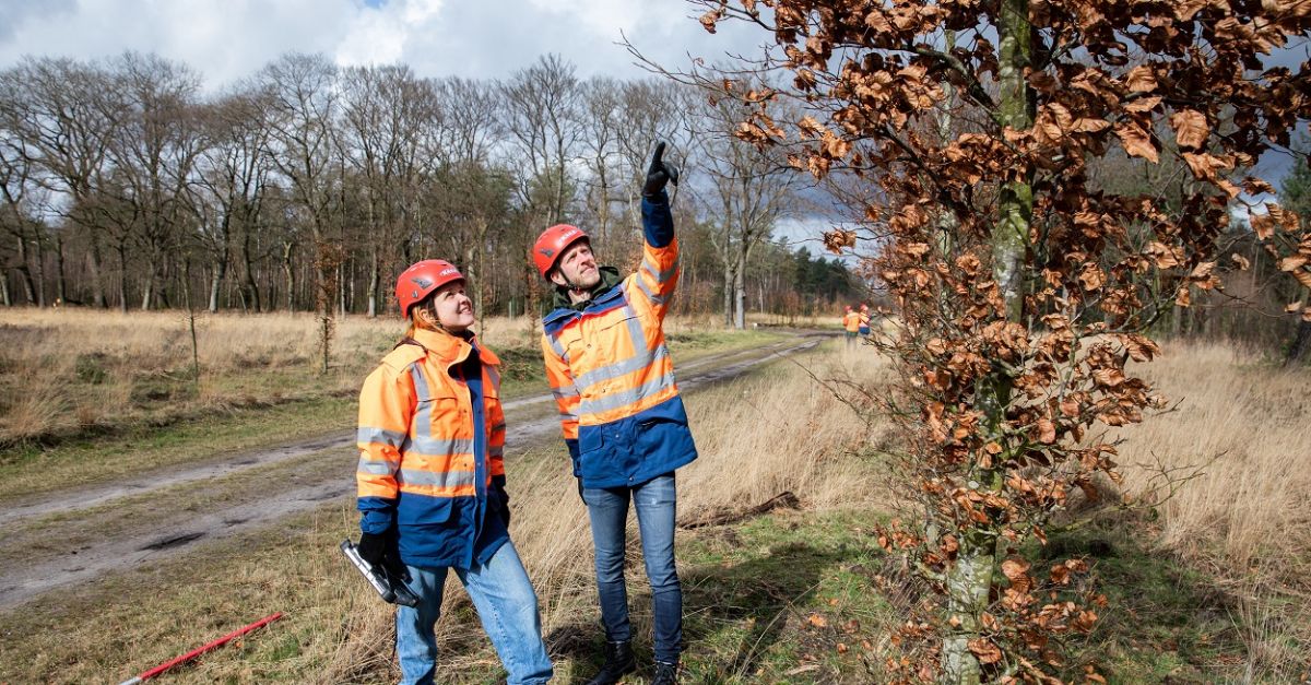 Traineeship Boomexpert Voor Een Duurzame Carriereswitch