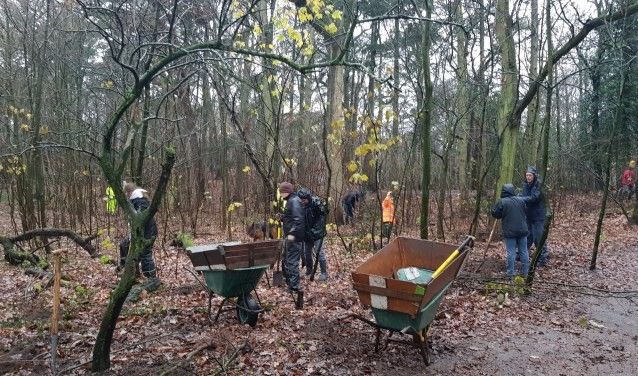 Stichting Meergroen beheert 150 hectare natuurgebied en ‘oogst’ bomen als onderdeel van regulier natuurbeheer