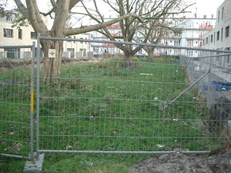 Bij een project in 2007 elders in Den Haag werden deze vleugelnoten gespaard