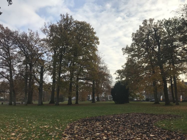 Oranjepark, bron: SB4 Oranjepark, bron: SB4