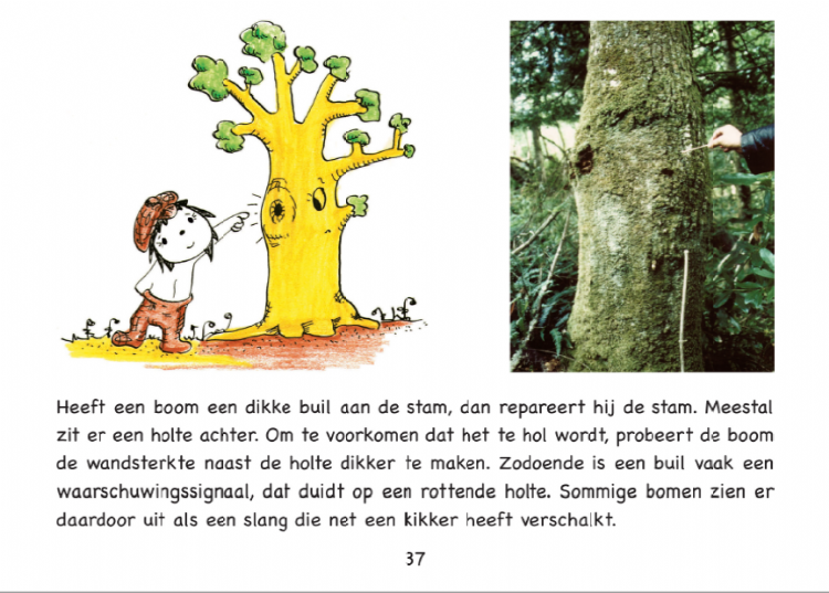 Een bladzijde uit het boek van Claus Matthek met de egel Stupsi